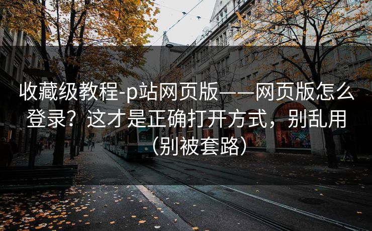 收藏级教程-p站网页版——网页版怎么登录？这才是正确打开方式，别乱用（别被套路）