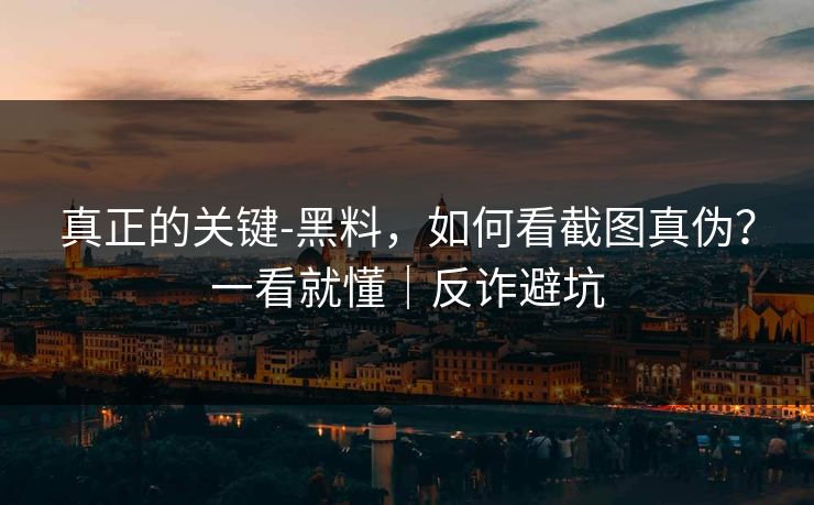 真正的关键-黑料，如何看截图真伪？一看就懂｜反诈避坑